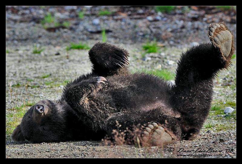 belly-up_0608.jpg - ahhhh...