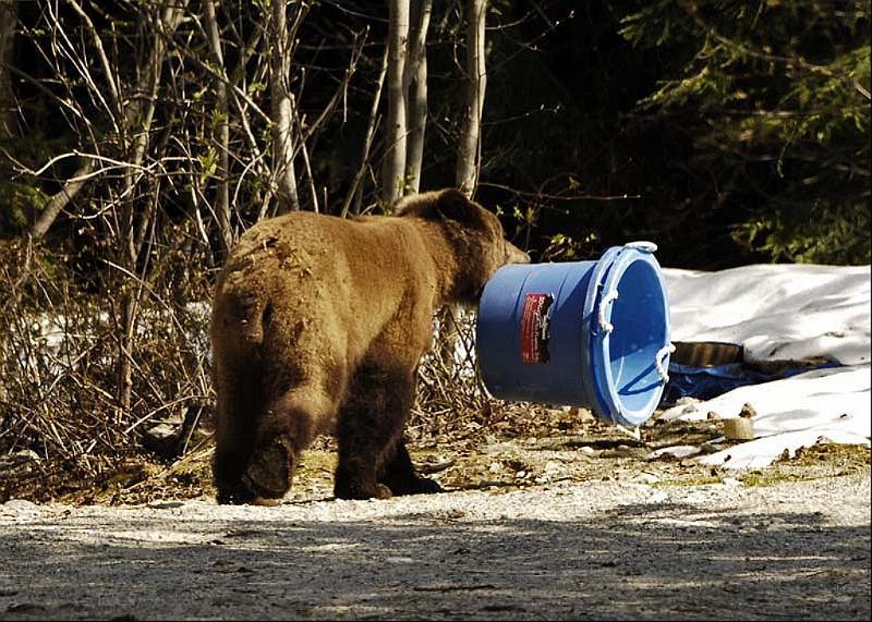 0001.jpg - Taking out the garbage