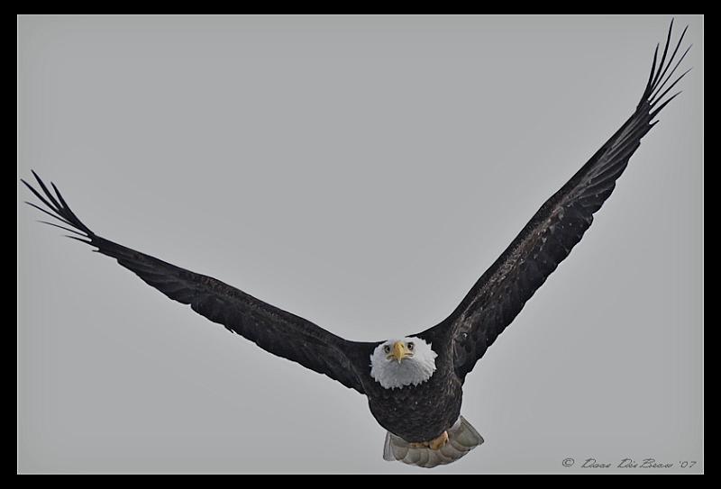 lookin-at-ya_3312.jpg - Here's lookin' at ya