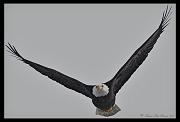 lookin-at-ya_3312