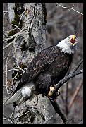 wide-open-web_3140