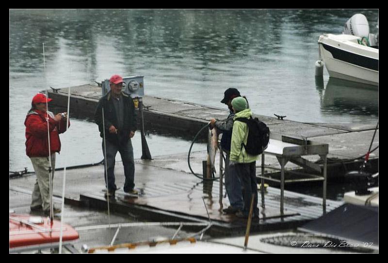 fish-caught_7565.jpg - Happy Alaskans with their King Salmon