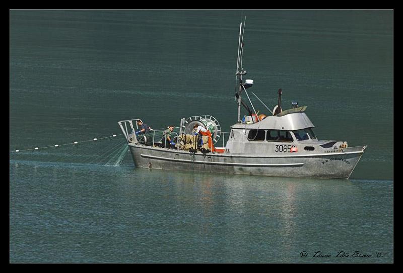 fishin_7590.jpg - Gill netter crew hauling in the catch