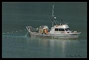 fishin_7590