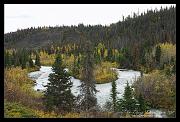 fall_9276