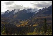 fall_9298