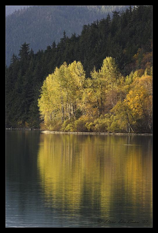 autumn_9505.jpg - Autumn Gold