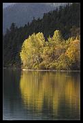 autumn_9505