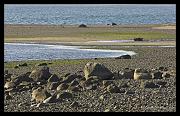 beach_2479