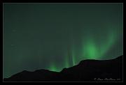 lights_8820