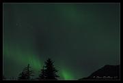 lights_8825