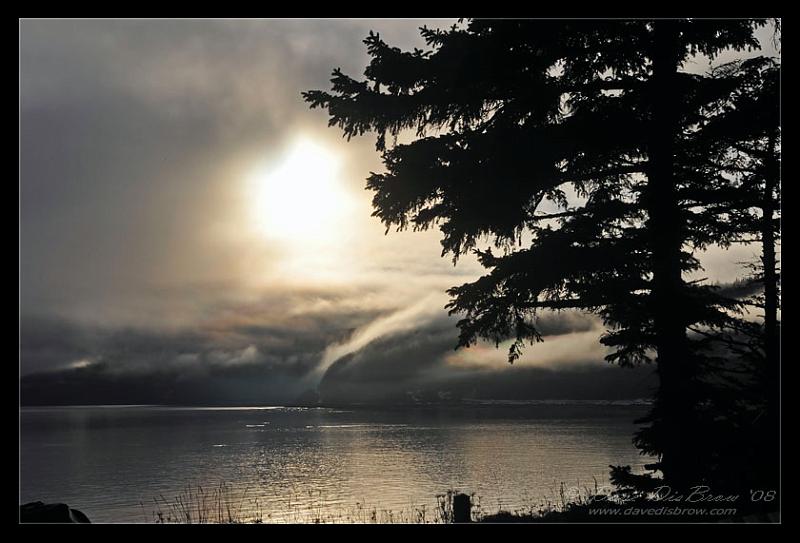 mornin'-fog-web_7154.jpg - Morning Fog and Sun trying to poke through