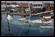 boat-web_7359