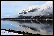 ducks-web_7506