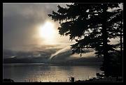 mornin'-fog-web_7154