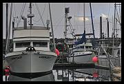 mtn's-harbor-web_7375