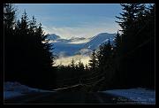 power-lines-web_7195
