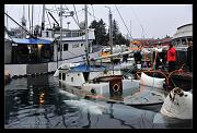 raising-web_7443